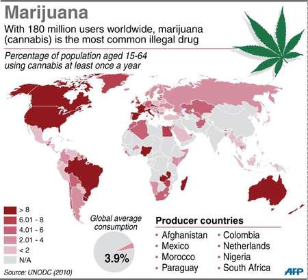 Uruguay to make marijuana legal in trailblazing gamble | i24news - See ...